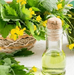 Celandine a gomba elleni küzdelemben